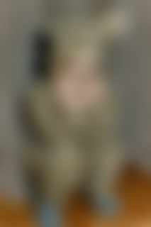 Blurred preview image for donor ELIJAH