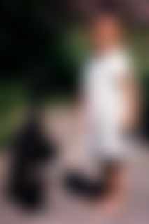 Blurred preview image for donor MAVERICK
